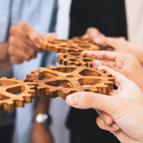 Ein Team von Menschen, die in ihren Händen hölzerne Zahnräder halten, die ineinander greifen 